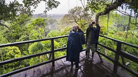 Getty Images Social nature prescriptions activities can include bat-watching, beach explorations and nature walks (Credit: Getty Images)