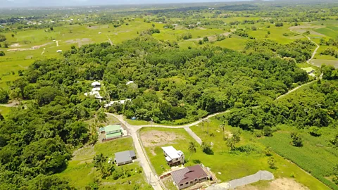 Wa Samaki Ecosystems An aerial shot of Wa Samaki's dense jungle shows a stark contrast with the surrounding area (Credit: Wa Samaki Ecosystems)