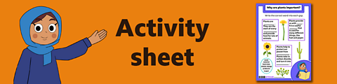 Download the activity sheet