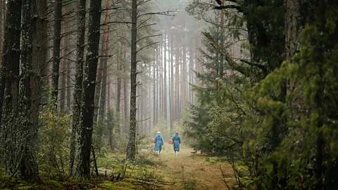 Harry Taylor Two people walking with baskets in Dzūkija National Park, Lithuania (Credit: Harry Taylor)