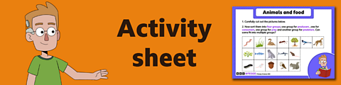Download the activity sheet