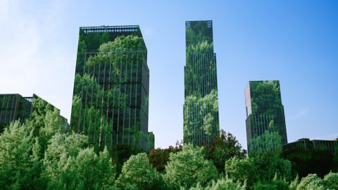 Tall buildings with images of trees over them