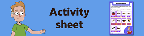 Download the activity sheet