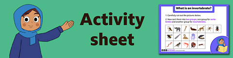 Download the activity sheet