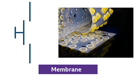 Photo and symbol for a membrane switch