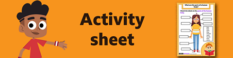 Download the activity sheet