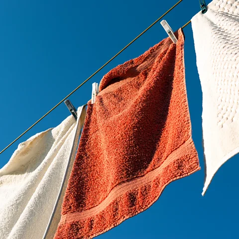 Getty Images Drying towels in direct sunlight after laundering can help to reduce the amount of bacteria on them (Credit: Getty Images)