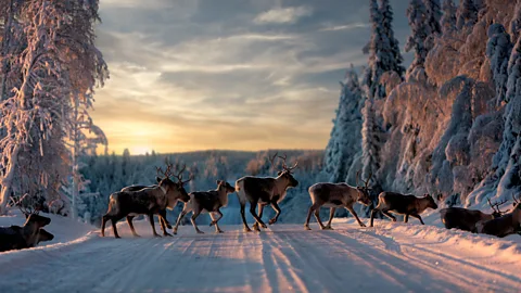 Getty Images Spending time in nature is linked to better mental health and better sleep (Credit: Getty Images)