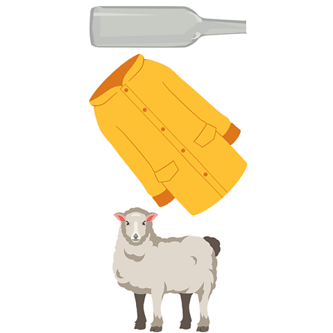 An illustration of a glass bottle, plastic raincoat and a sheep.