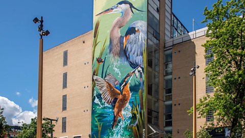 The Sheffield Heron: The Story Behind Peachzz 'Reverie' Mural
