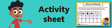Download the activity sheet