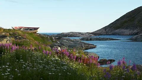 Getty Images The Trans-Labrador Highway will soon connect travellers to Labrador's windswept coastal villages (Credit: Getty Images)