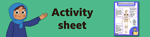 Download the activity sheet