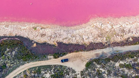 Getty Images A car drives past a pink lake in Western Australia (Credit: Getty Images)