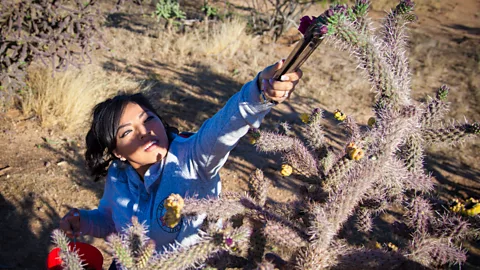 Visit Tucson The San Xavier Co-op Farm is located on the oldest continuously cultivated land in the US (Credit: Visit Tucson)