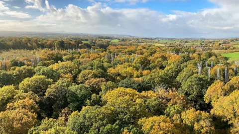 Thomas Downes Scientists are pumping CO2 into forests across the globe – to further our understanding of how trees can help keep the Earth cool (Credit: Thomas Downes)