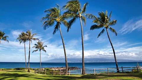 Getty Images Carrere loves Napili Kai Beach Resort in Maui's Napili Bay for a no-frills holiday stay with lots of homespun character and vintage charm (Credit: Getty Images)