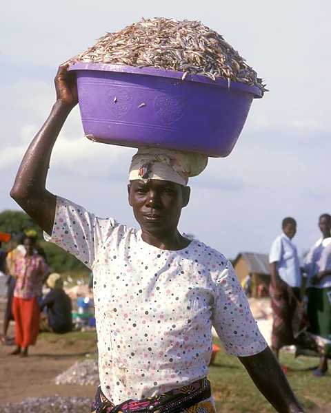 Alamy Luo women can carry more than two thirds of their body mass on top of their heads (Credit: Alamy)