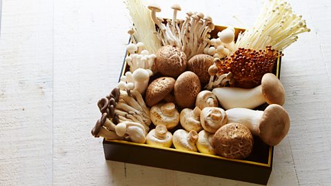 A box of different mushrooms
