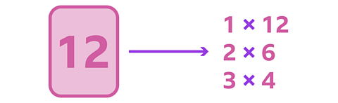 The number 12 is shown on a card with an arrow pointing to three multiplication sentences. They are 1×12, 2 ×6, and 3×4.