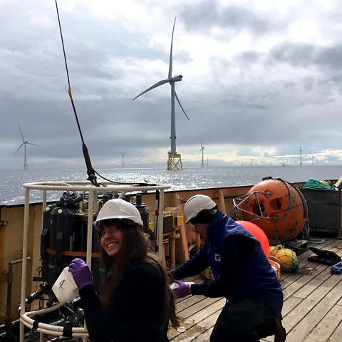 PELAgIO NERC ECOWind project Researchers in Scotland study the impact of wind farms on the marine ecosystem (Credit: PELAgIO NERC ECOWind project)