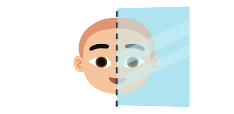 Same picture of Charlie, but now with a symmetrical line down the centre of his face and a mirror on the right side of his face.