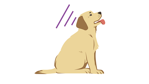 An illustration of a dog listening