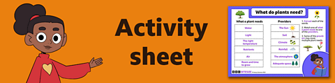 Download the activity sheet