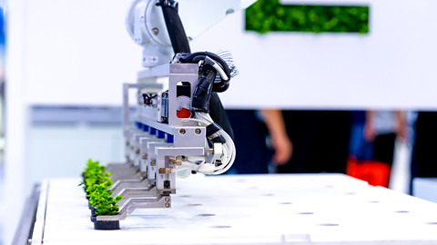 Agricultural robots working in vegetable greenhouse