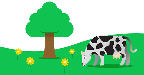 A cow in a field of grass showing a tree and 4 daisy flowers. The sun is high in the sky and there are 2 clouds.