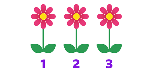 Same picture as before but now there are the numbers 1, 2 and 3 below the flowers.