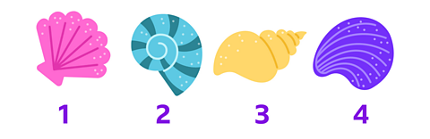 Same picture as previous but now the shells are in a neat line and each are numbered 1, 2, 3 and 4.