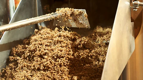 Getty Images A mound of brewers' spent grain being shovelled (Credit: Getty Images)