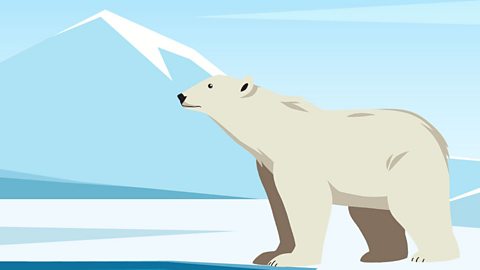 An illustration of a polar bear in an icy landscape.