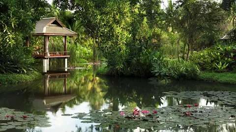 Anantara Mai Khao Phuket Anantara Mai Khao Phuket and its idyllic lagoon were also used for filming scenes in the show (Credit: Anantara Mai Khao Phuket)