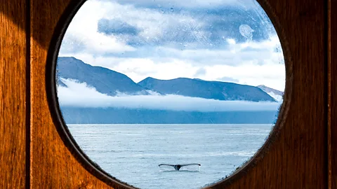 Getty Images A circular porthole window which looks out the landscape of Northern Iceland – a whale's tail pokes out above the surface of the ocean and mountains in the background (Credit: Getty Images)