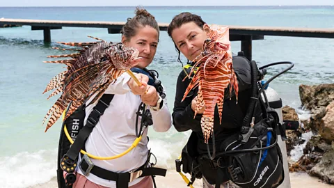 Charmed Life Photography-Lisa Haynes Helmi Smeulders and Lisette Keus holding lionfish on spears on a beach in Curacao (Credit: Lisa Collins-Haynes)