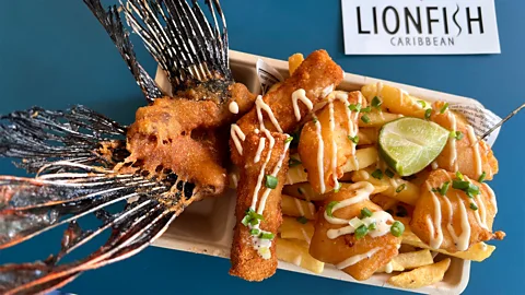 Charmed Life Photography-Lisa Haynes Lisette Keus has a tasting room serving lionfish tacos and fried lionfish and chips (Credit: Charmed Life Photography-Lisa Haynes)