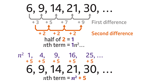 n^2+5. 