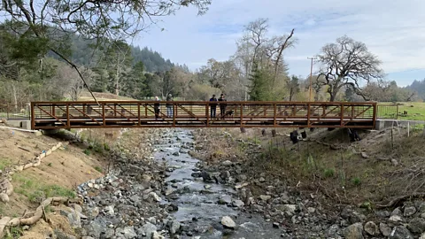 Trust for Public Land The Trust for Public Land restored rivers in San Geronimo golf course, resulting in record numbers of spawning salmon in 2024 (Credit: Trust for Public Land)