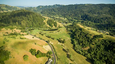 Trust for Public Land A landscape image showing grass, patches of trees and forest and a road (Credit: Trust for Public Land)