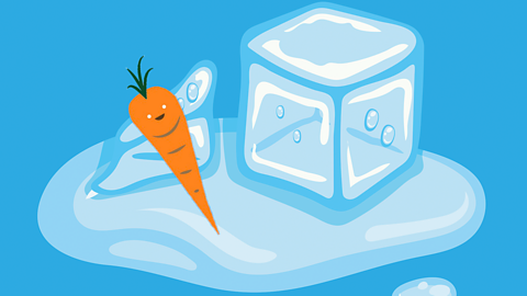 The Vegetables and the Great Big Thaw