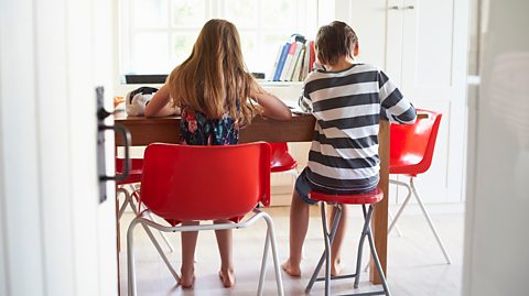 Pair of twins sit at a kitchen table and study together after deregistering from school