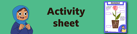Download the activity sheet