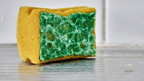 Getty Images The holes and frayed fibres in your kitchen sponge provide plenty of places for microbes to hide and multiply (Credit: Getty Images)