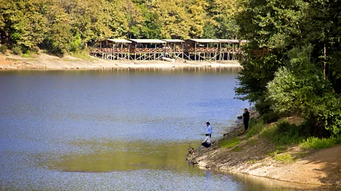 Getty Images The wetlands of Şile, on the outskirts of Istanbul, have been an important source for the growing city's water supplies (Credit: Getty Images)