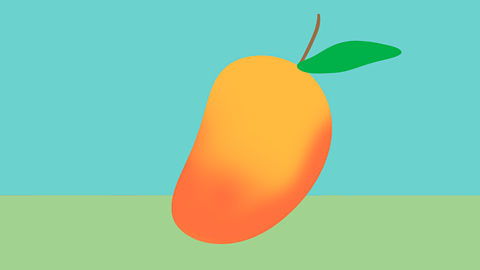 Mango Trees In Multan