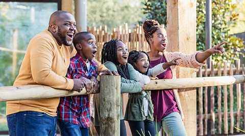 Family of five have great fun at a zoo on a home ed trip and all point with amazement