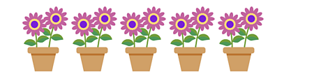 Five pots of flowers in a row.