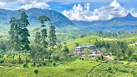 Charukesi Ramadurai Tea processing factories dot the landscape, with Sri Lanka being the world's fourth largest exporter of tea (Credit: Charukesi Ramadurai)